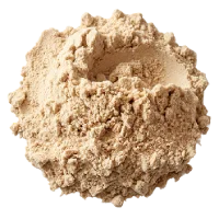 GABA