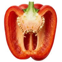 Vitamin E (d-alpha)