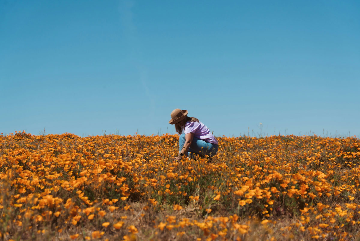Why is quercetin good for allergies?