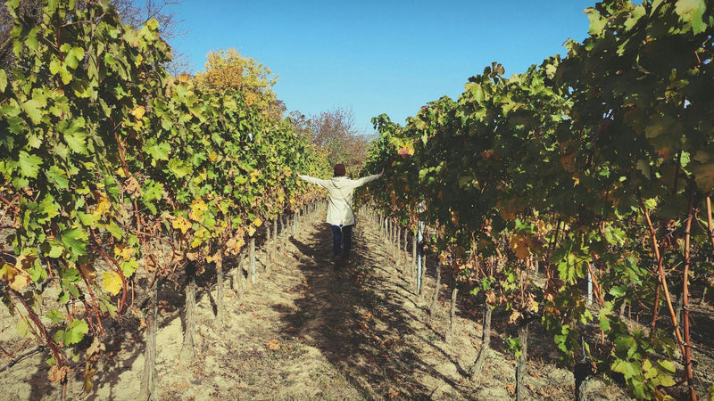 What Is Resveratrol and Does It Work for Anti-Aging After 40?