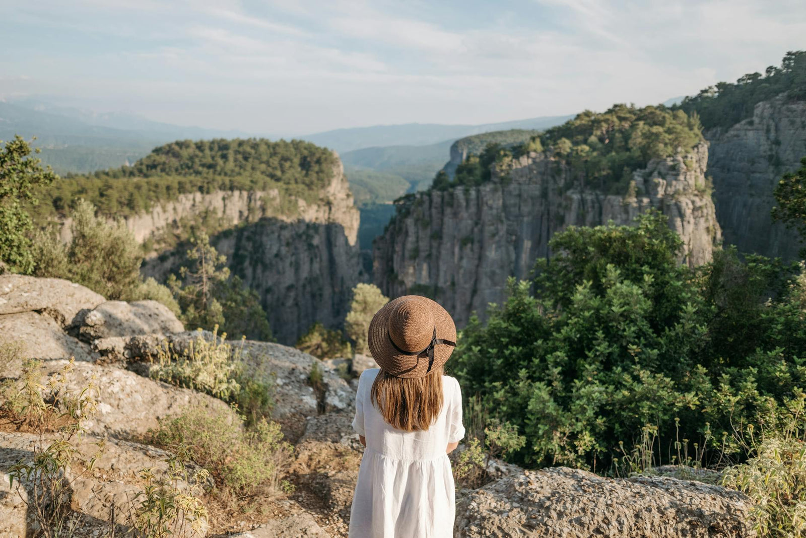 Estrogen and Heart Health After Menopause: What Every Woman Needs to Know