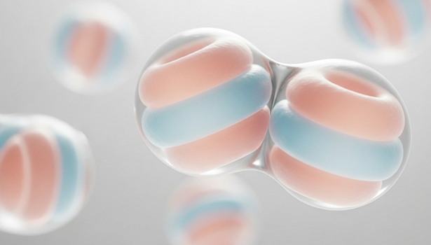 Phosphatidylcholine Liposomes