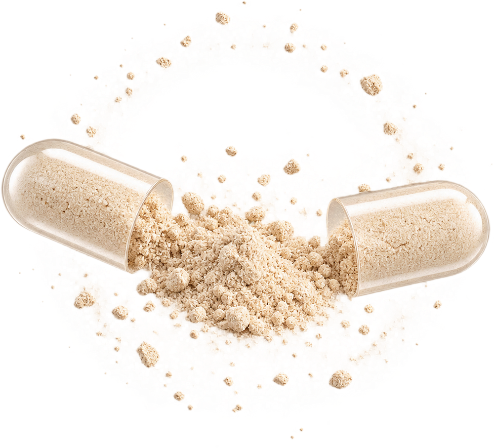 An open Happy Aging capsule with the blend powder