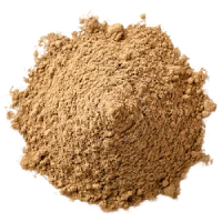 Lemon Balm Extract
