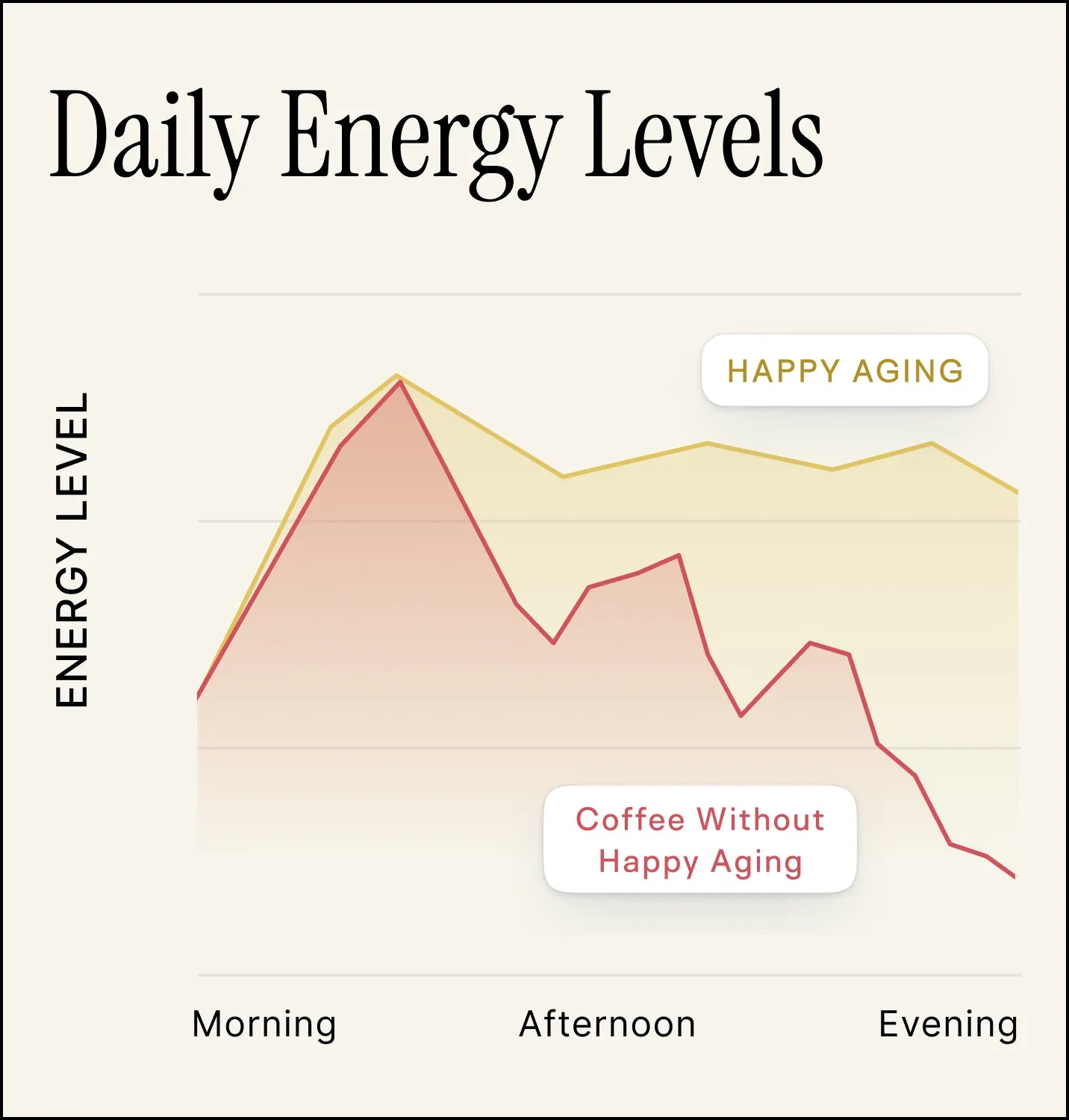 Daily energy levels: coffee with Happy Aging stays steady, coffee without drops in the afternoon
